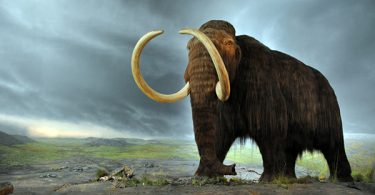 Kosmati mamut (Vikipedija)