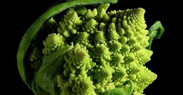 Brokoli (Džon Saliven, Vikipedija)