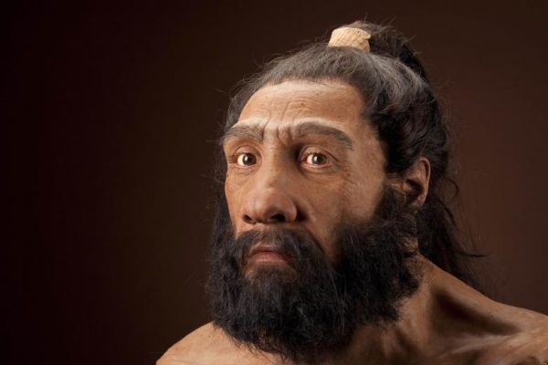 Glava neandertalca (Smitsonijeva zadužbina).
