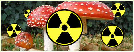 Černobiljske pečurke (Vikipedija, ilustracija)
