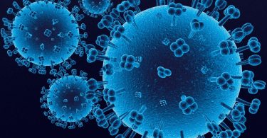 1. Virus gripa (Vikipedija)