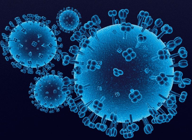 1. Вирус грипа (Википедија)