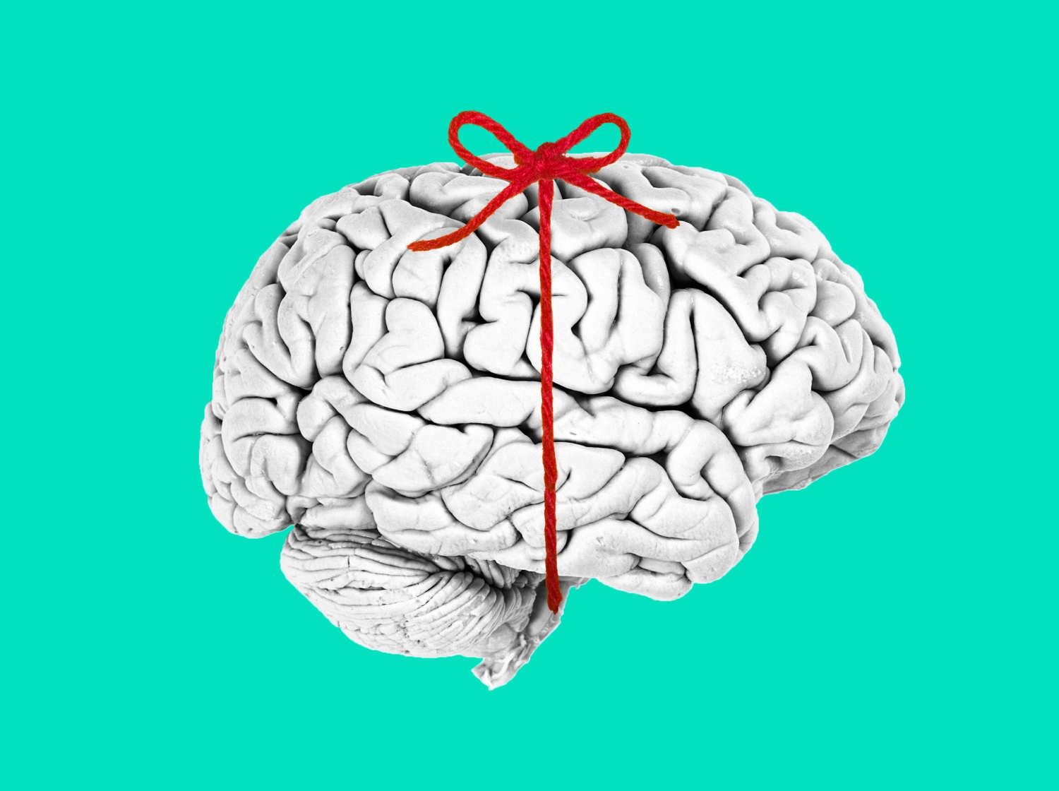 Тест для мозга и памяти. Мозг память. Мозг мышление. Мозг запоминание.
