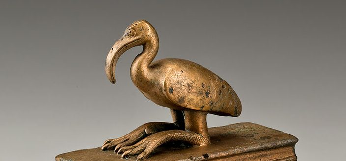 Sarkofag za ibisa (Vikipedija)