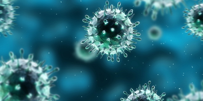 Virus gripa (Vikipedija)