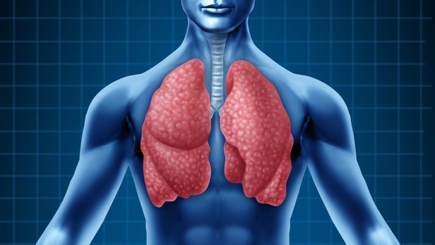 Ljudska pluća (Vikipedija)