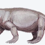 ilustracija